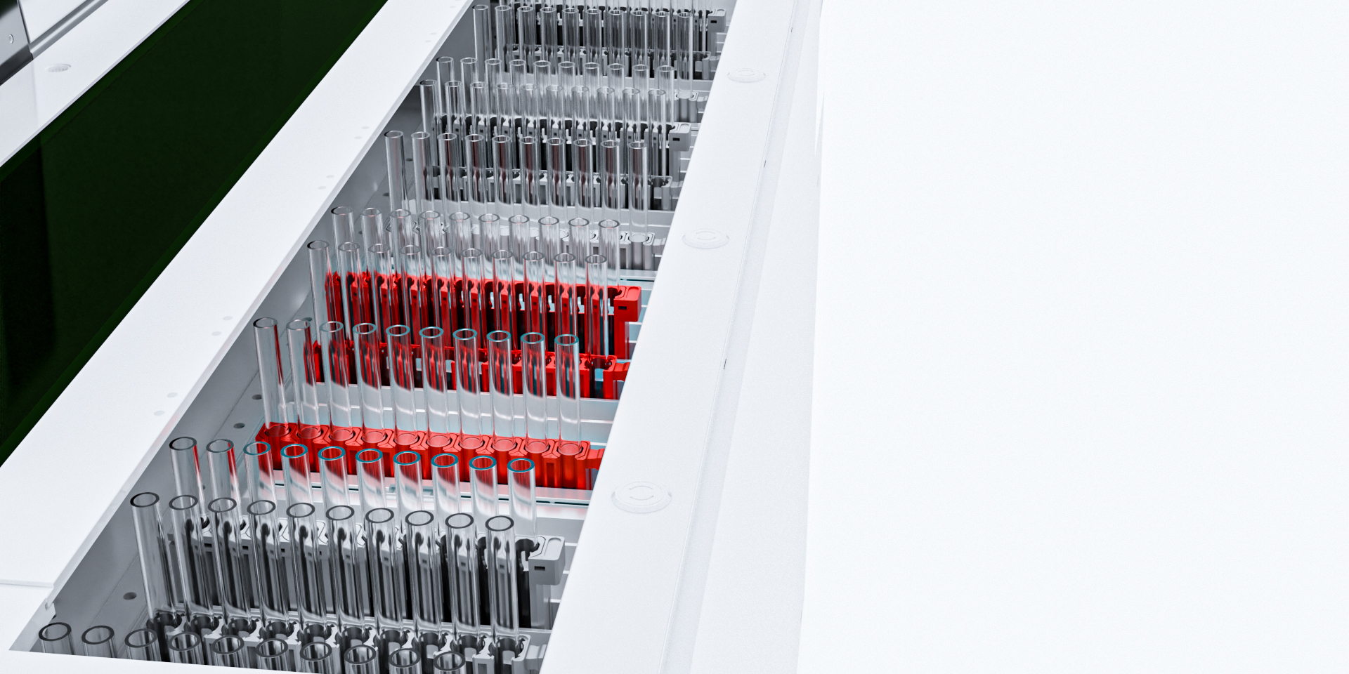 AG庄嫌驻(中国)集团