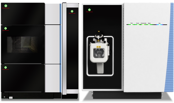 AG庄嫌驻(中国)集团