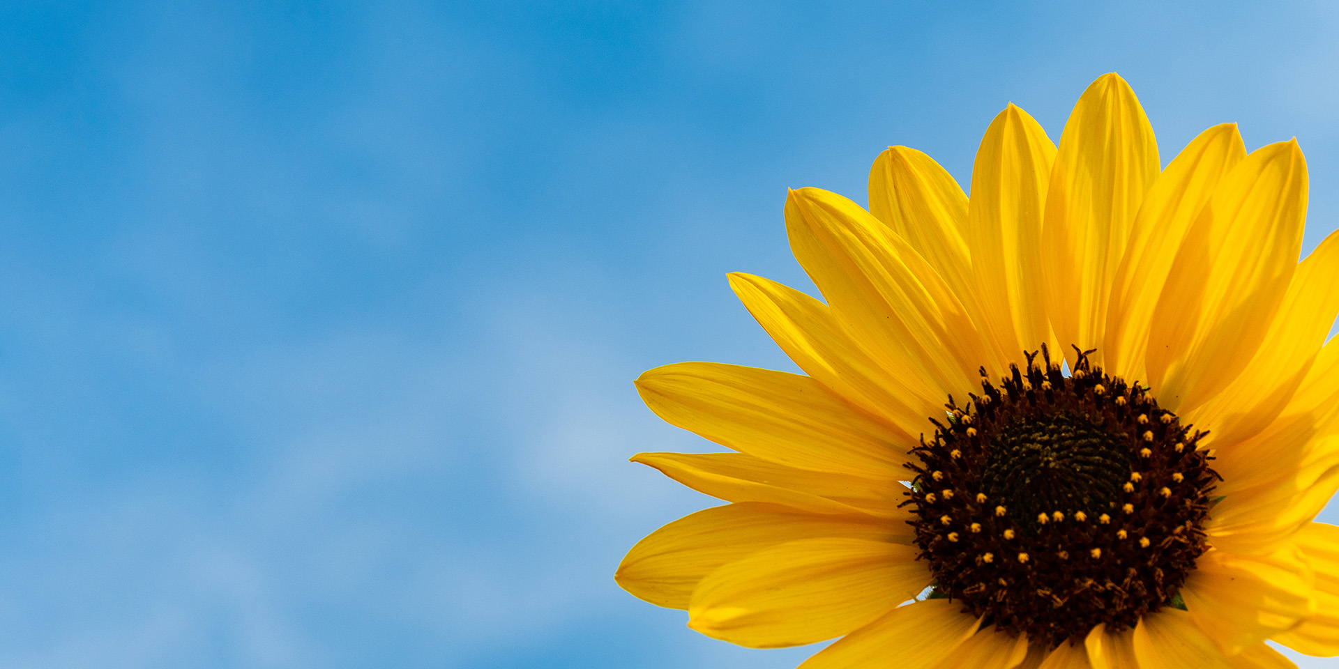 AG庄嫌驻(中国)集团