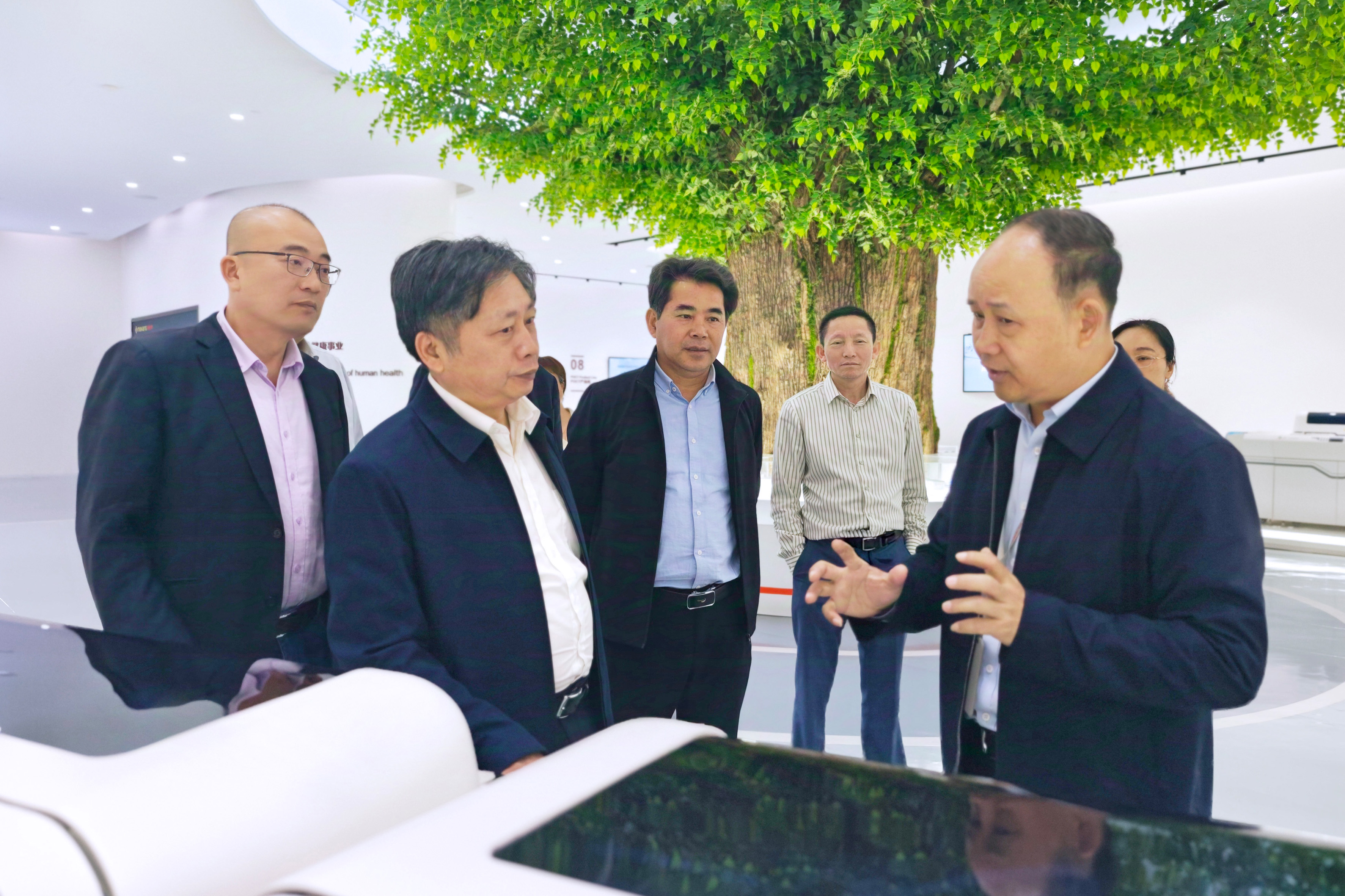 AG庄嫌驻(中国)集团